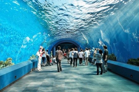 Pattaya Underwater World Admission Ticket with Return Transfer Optional