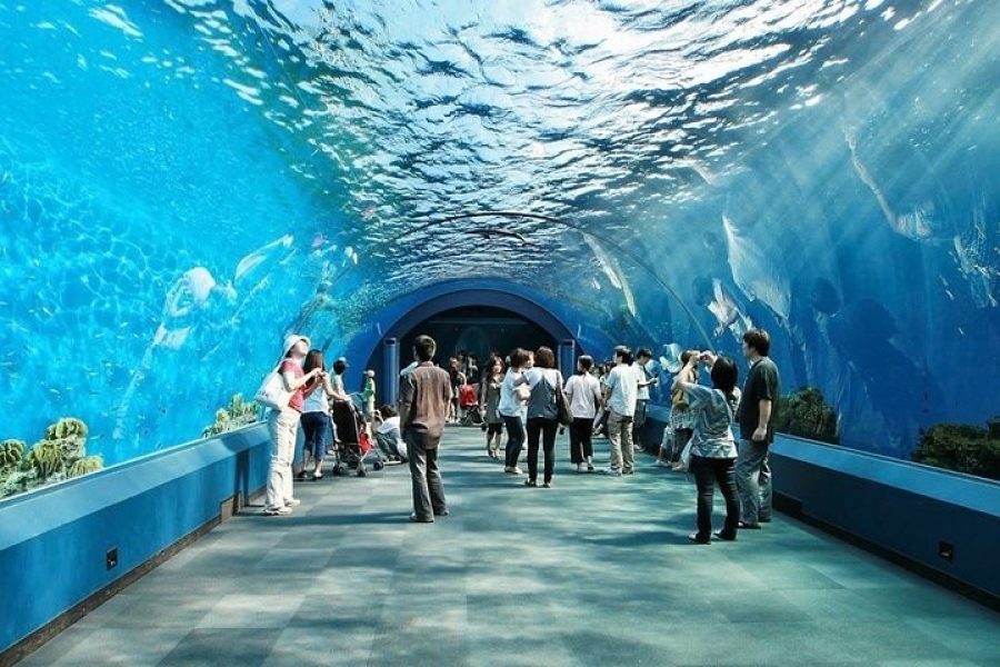 Pattaya Underwater World Admission Ticket with Return Transfer Optional